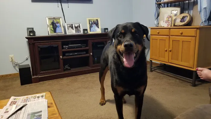 Kivisto Veterinary Clinic LLC 9
