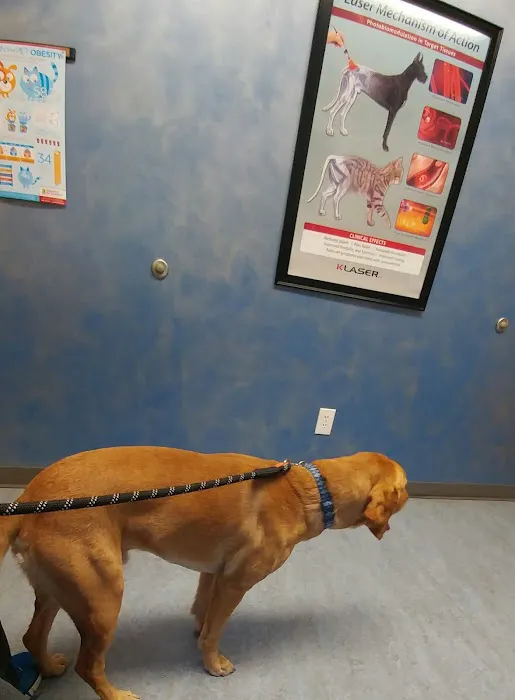 Kivisto Veterinary Clinic LLC 3