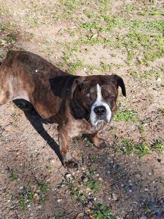 Kivisto Veterinary Clinic LLC 8