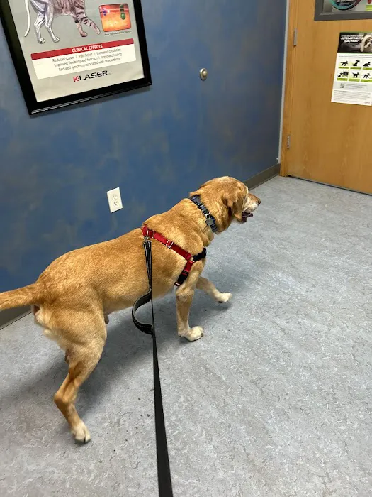 Kivisto Veterinary Clinic LLC 2