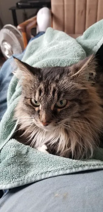 Kivisto Veterinary Clinic LLC 6