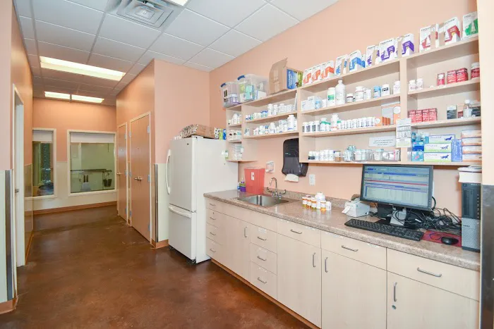 ZimmVet 8