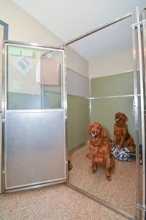 ZimmVet 1