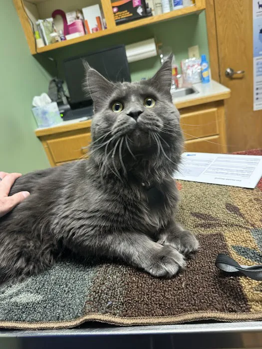 All Pets Veterinary Hospital & Equine Service - Dr. Joel Ihnen 4