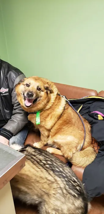 All Pets Vet Hospital & Equine Services 3