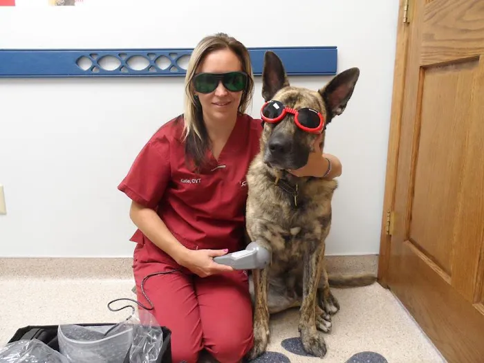 The Bluffs Pet Clinic 8