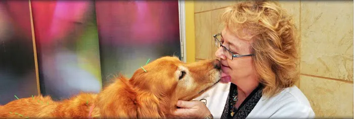The Bluffs Pet Clinic 9