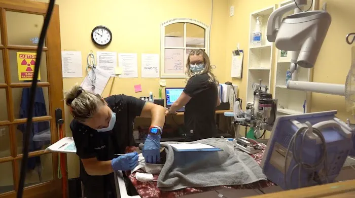 The Bluffs Pet Clinic 4