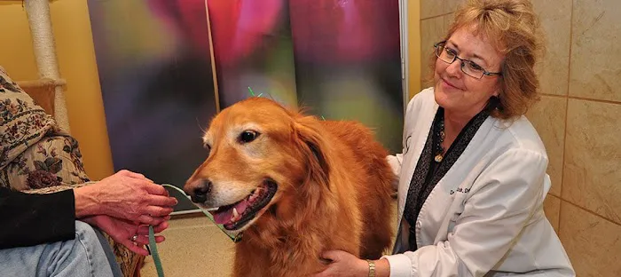 The Bluffs Pet Clinic 2