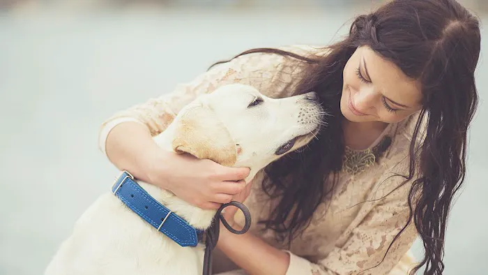 Black Dog Animal Hospital 3