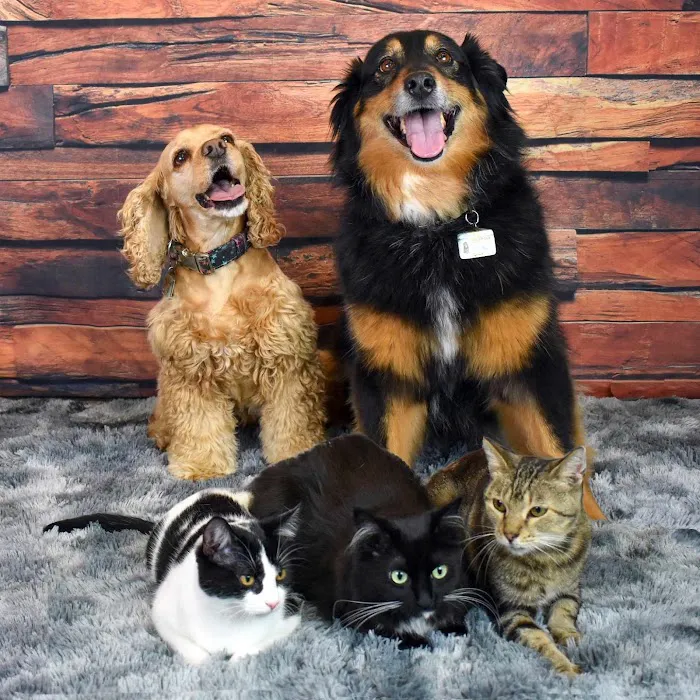 Black Dog Animal Hospital 8