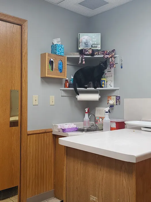 All Creatures Veterinary Clinic 8