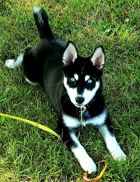 Waconia Veterinary Clinic 12