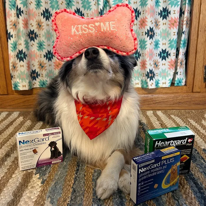 Waconia Veterinary Clinic 12
