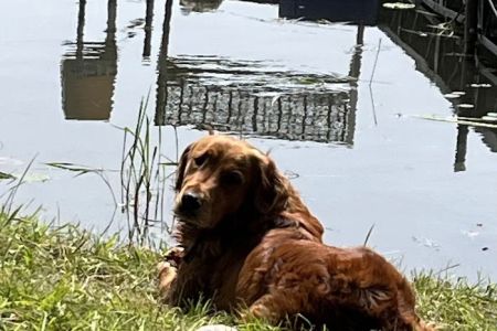 Watertown Veterinary Clinic