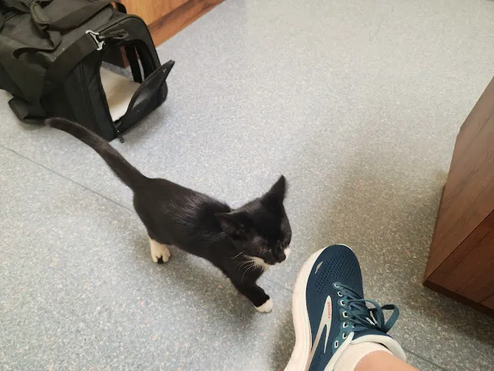 Watertown Veterinary Clinic 12