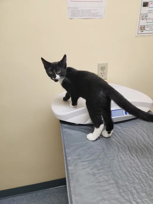Watertown Veterinary Clinic 12
