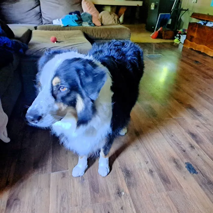 Watertown Veterinary Clinic 12