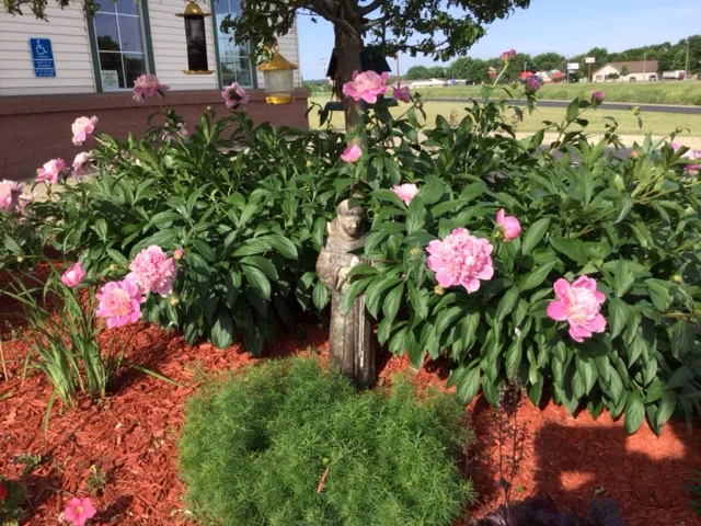 Belle Plaine Animal Hospital 2