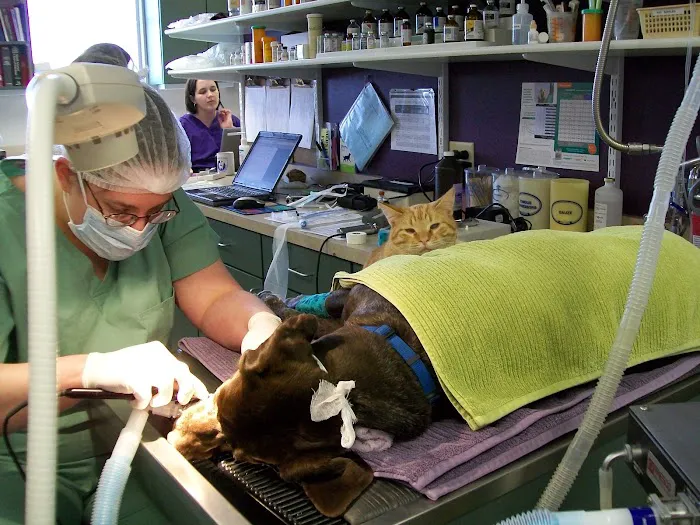Belle Plaine Animal Hospital 10