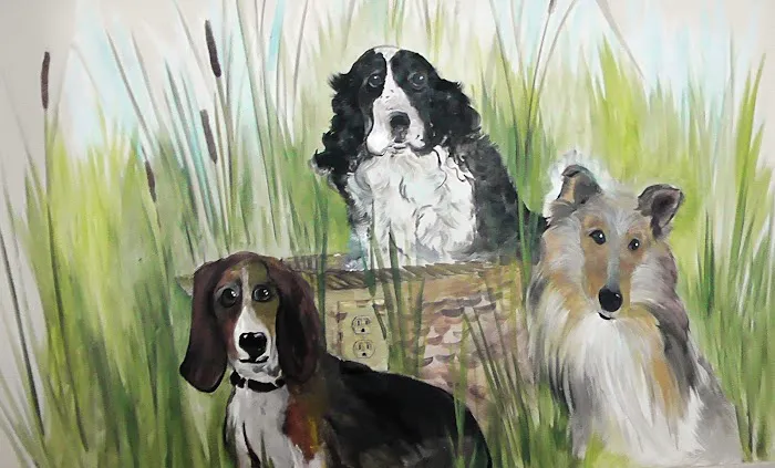 Belle Plaine Animal Hospital 6