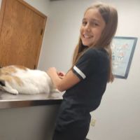 New Prague Veterinary Clinic ico