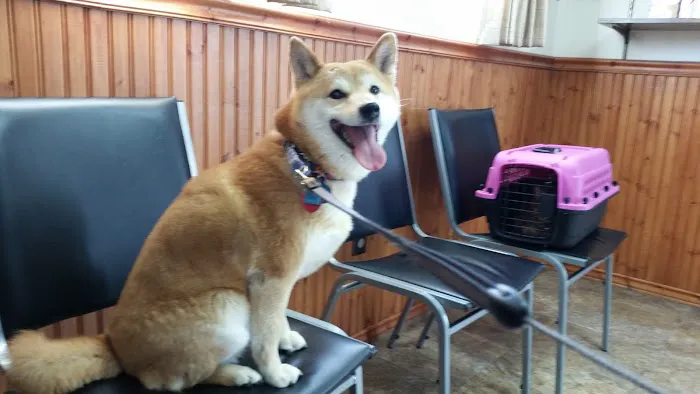 Norwood Veterinary Clinic 4