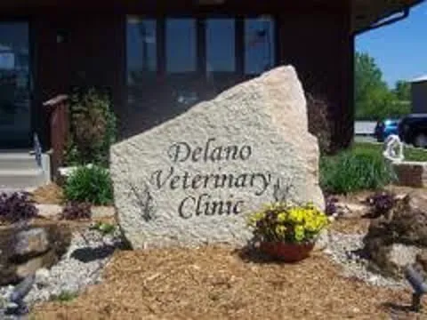 Delano Veterinary Clinic 12