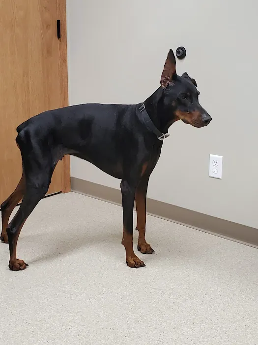 Delano Veterinary Clinic 12