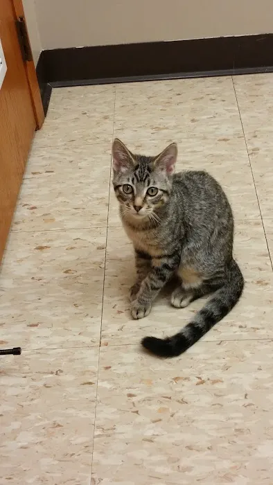 Delano Veterinary Clinic 12