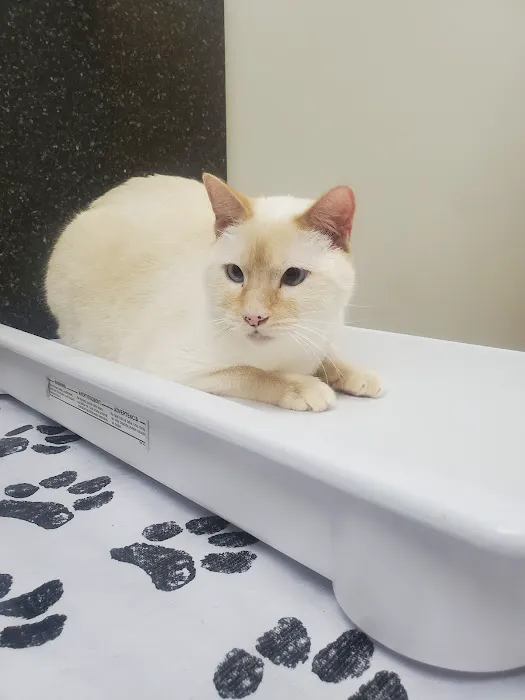 Rockford Veterinary Clinic 2