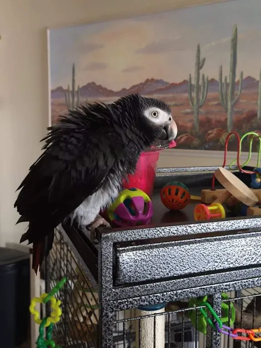 Animal & Exotic Wellness Center 1