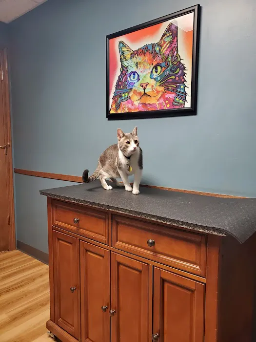 Barrington Oaks Veterinary Hospital 7