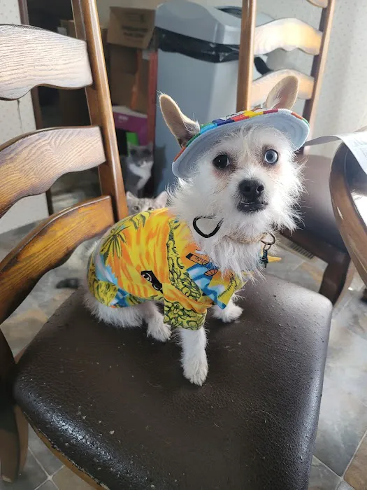 Irwin Animal Hospital 12