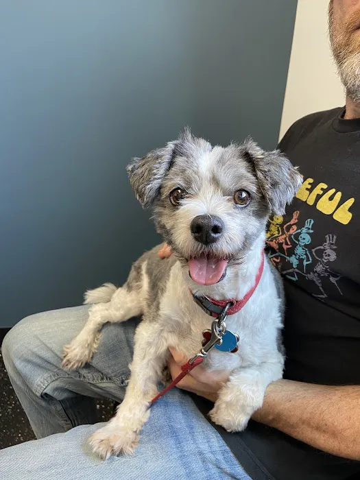 Southgate Veterinary Clinic 12
