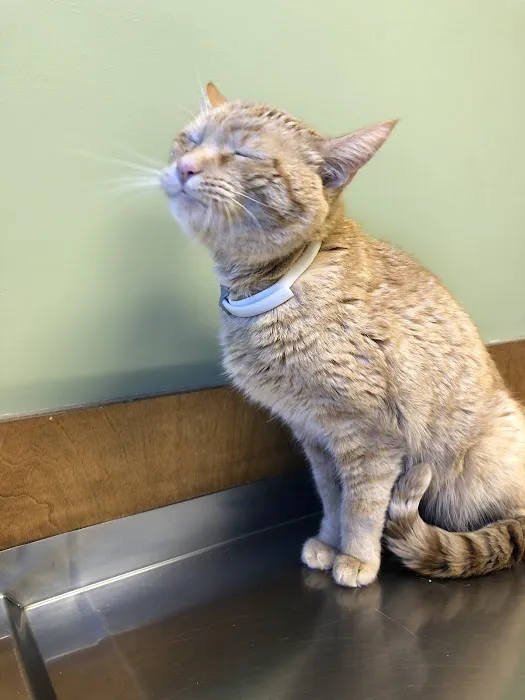 Southgate Veterinary Clinic 12