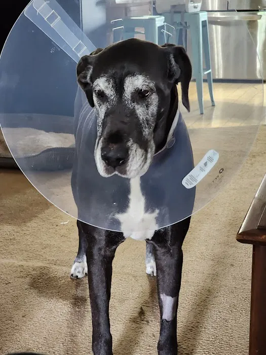 Southgate Veterinary Clinic 12