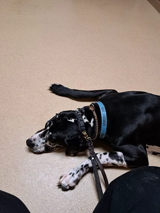 Lincoln Way Animal Hospital 12