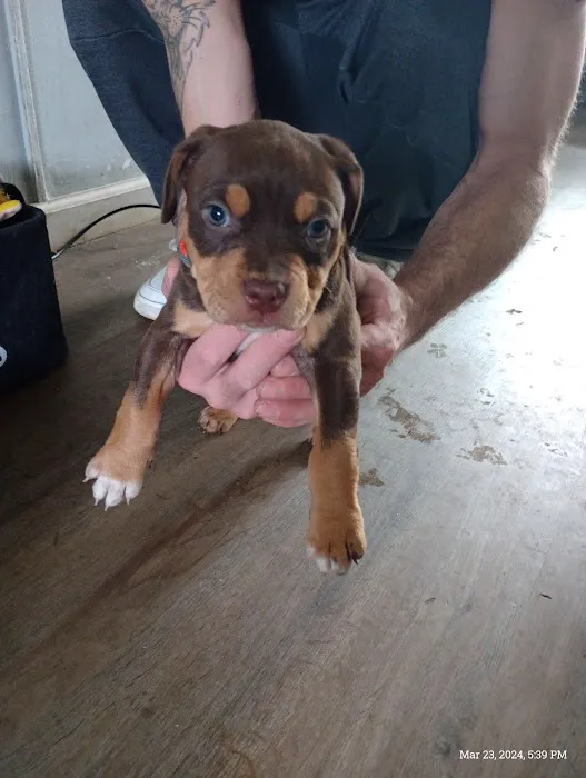 Lincoln Way Animal Hospital 12
