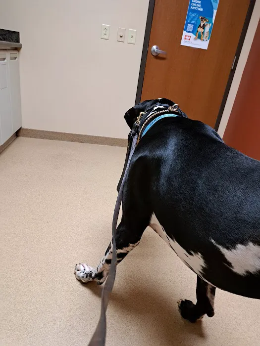 Lincoln Way Animal Hospital 12