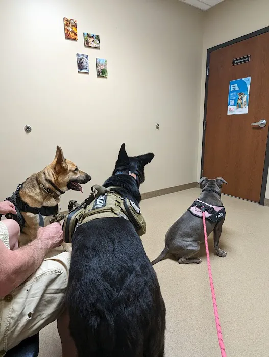 Lincoln Way Animal Hospital 12