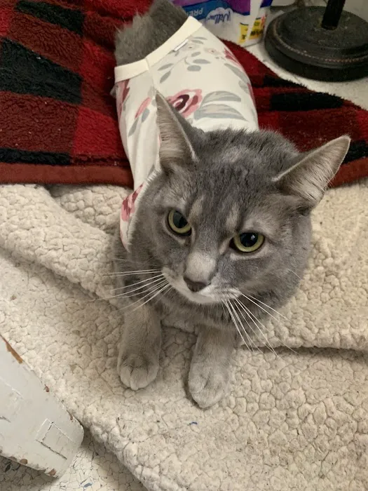 Mohawk Animal Hospital 12