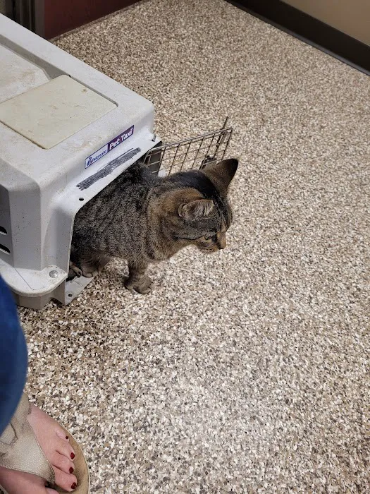 Mohawk Animal Hospital 12