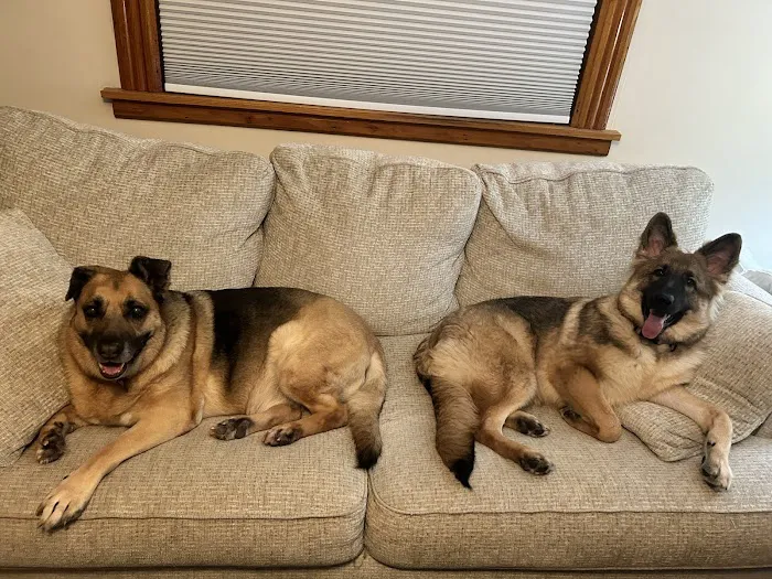 VCA Dog and Cat Hospital of Tiffin 12