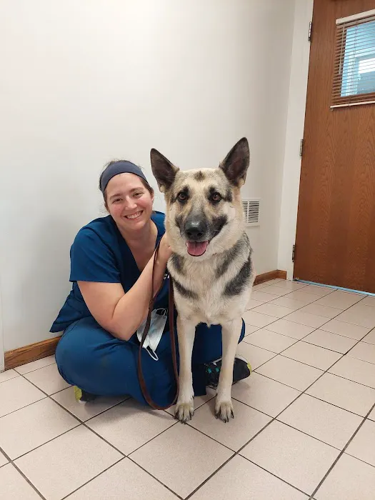 VCA Dog and Cat Hospital of Tiffin 12