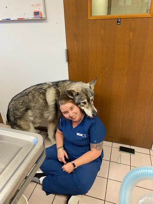 VCA Dog and Cat Hospital of Tiffin 12