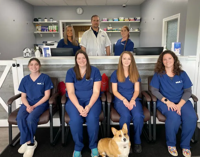VCA Dog and Cat Hospital of Tiffin 12