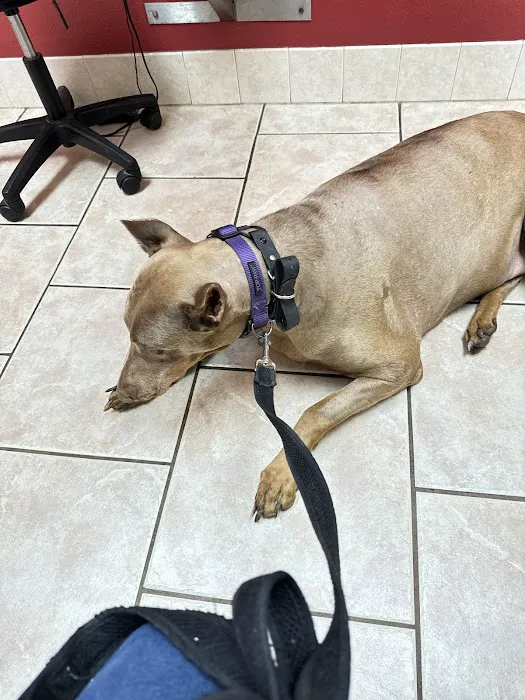 Animal Hospital of Tiffin LLC 12