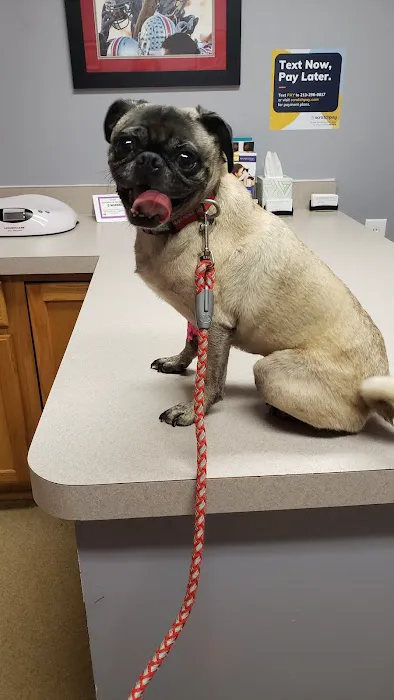 Animal Care Center of Tiffin 12