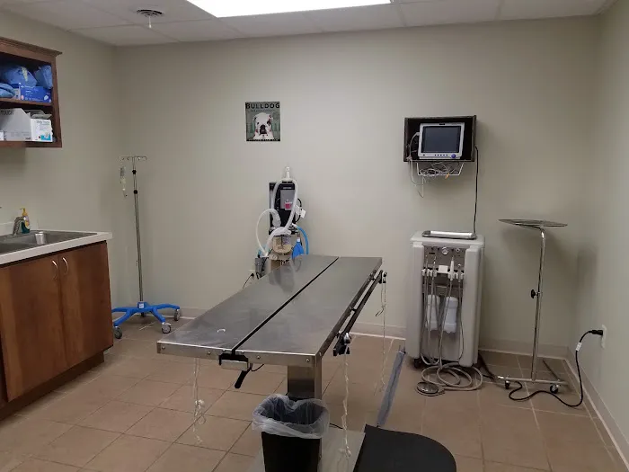 Erica Schieber, DVM at Bucyrus Veterinary Services 8
